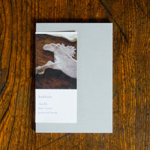 画像をギャラリービューアに読み込む, 【新品 | ポストカード】kukkula