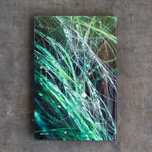 画像をギャラリービューアに読み込む, 【新刊】芝木好子小説集 新しい日々