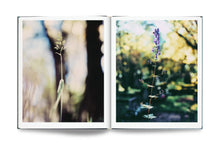 画像をギャラリービューアに読み込む, 【新刊】spectrum