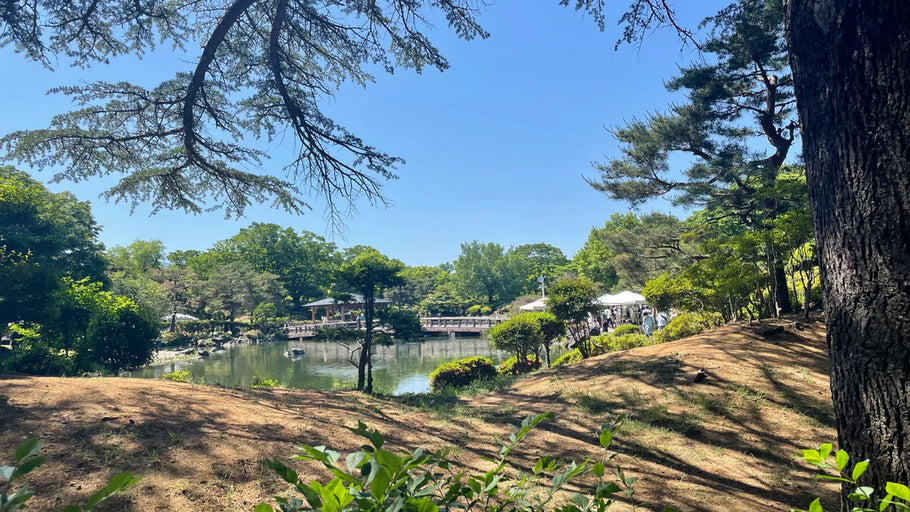 枯淡苑のおたより | '22 5月号